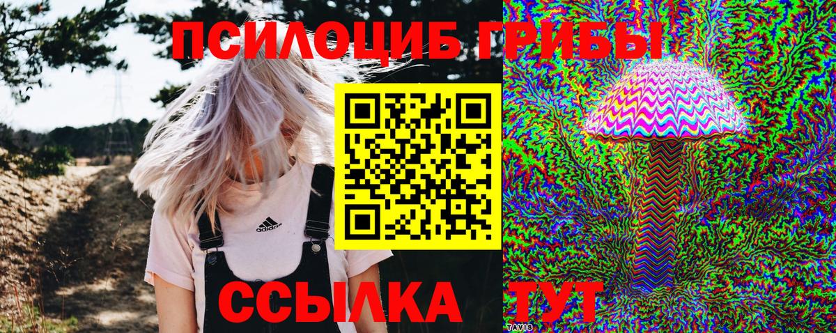 Галлюциногенные грибы Cubensis  что такое наркотик  Балашов  Вход с VPN 